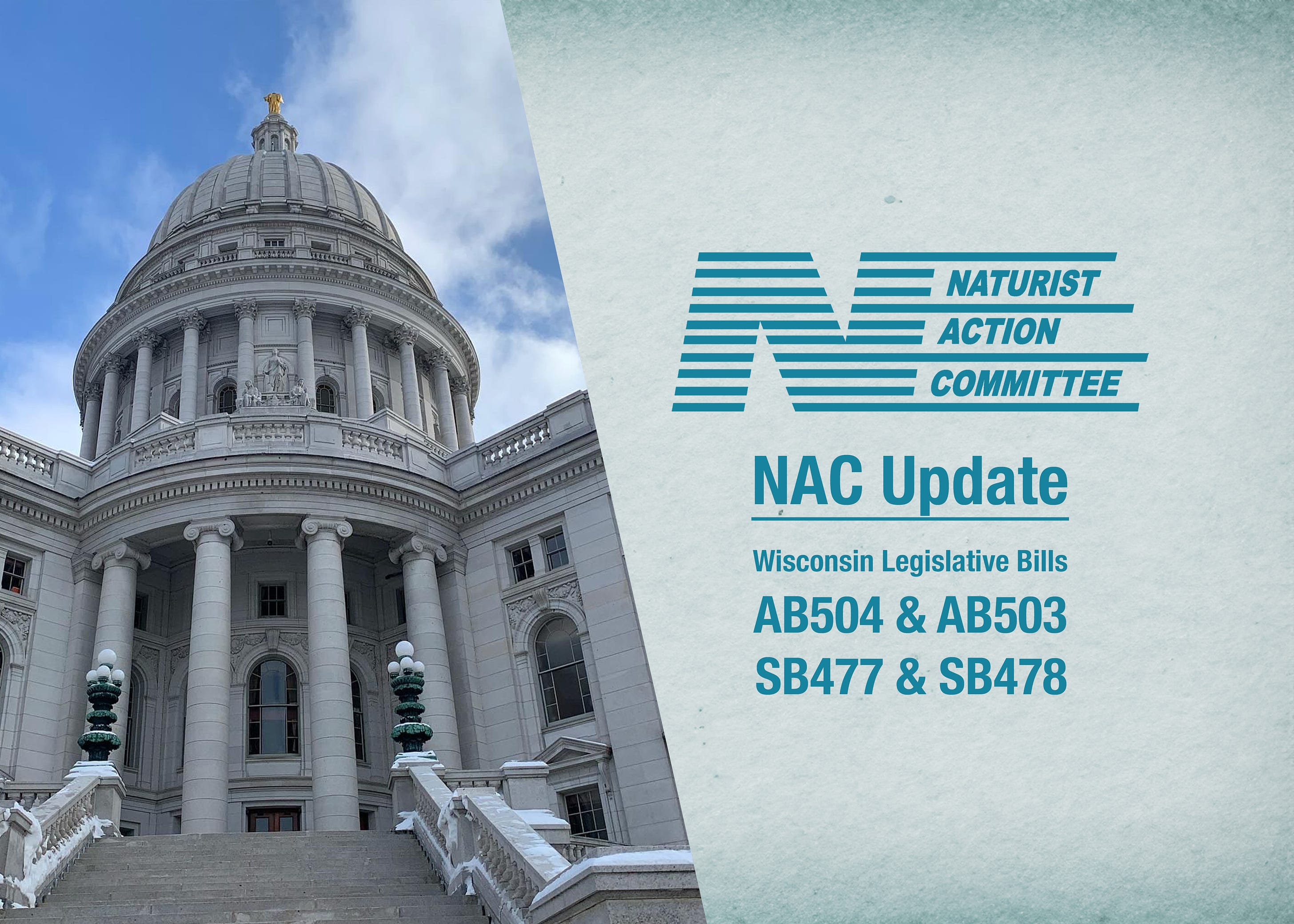NAC Update: Wisconsin anti-nudity bills AB503 and AB504